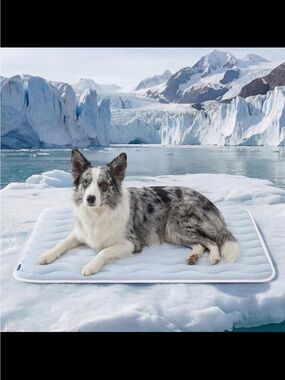 LARGE SIZE COOLING PADS! FOR PETS ❄️🧊